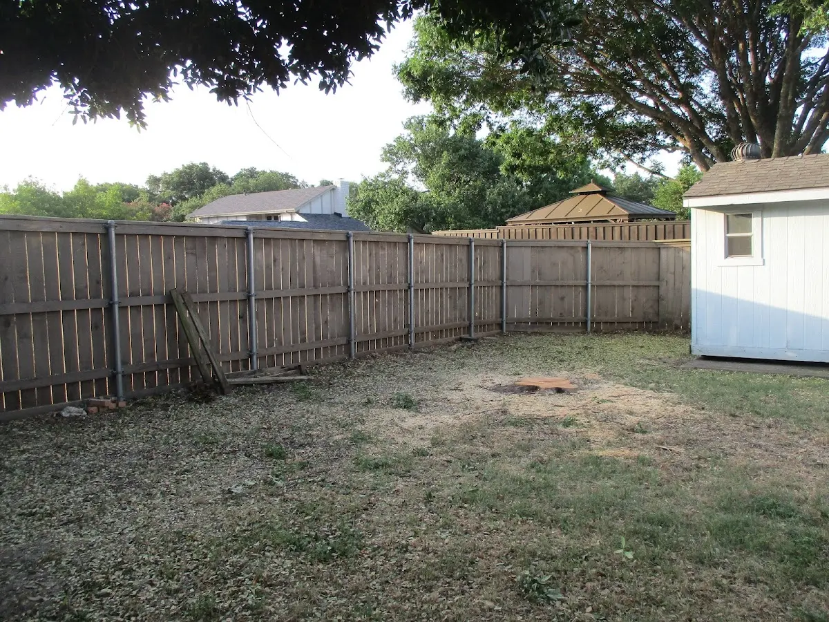 Cleared yard after professional tree removal in Quemado